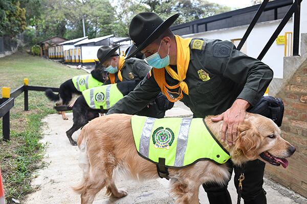 Caninos inspeccionan ayudas humanitarias para prevenir contaminación con narcóticos / Foto Policía Nacional