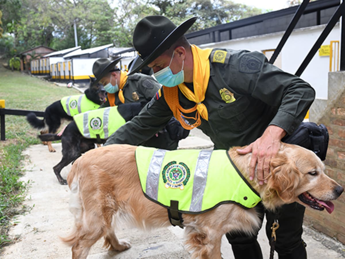 Con perros antinarcóticos las autoridades inspeccionan ayudas humanitarias
