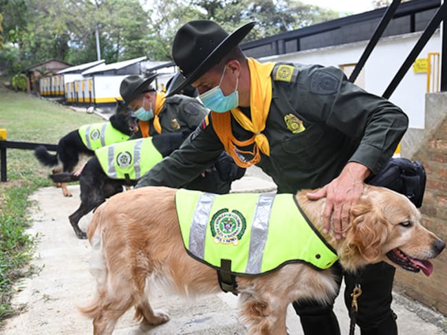 Caninos inspeccionan ayudas humanitarias para prevenir contaminación con narcóticos / Foto Policía Nacional