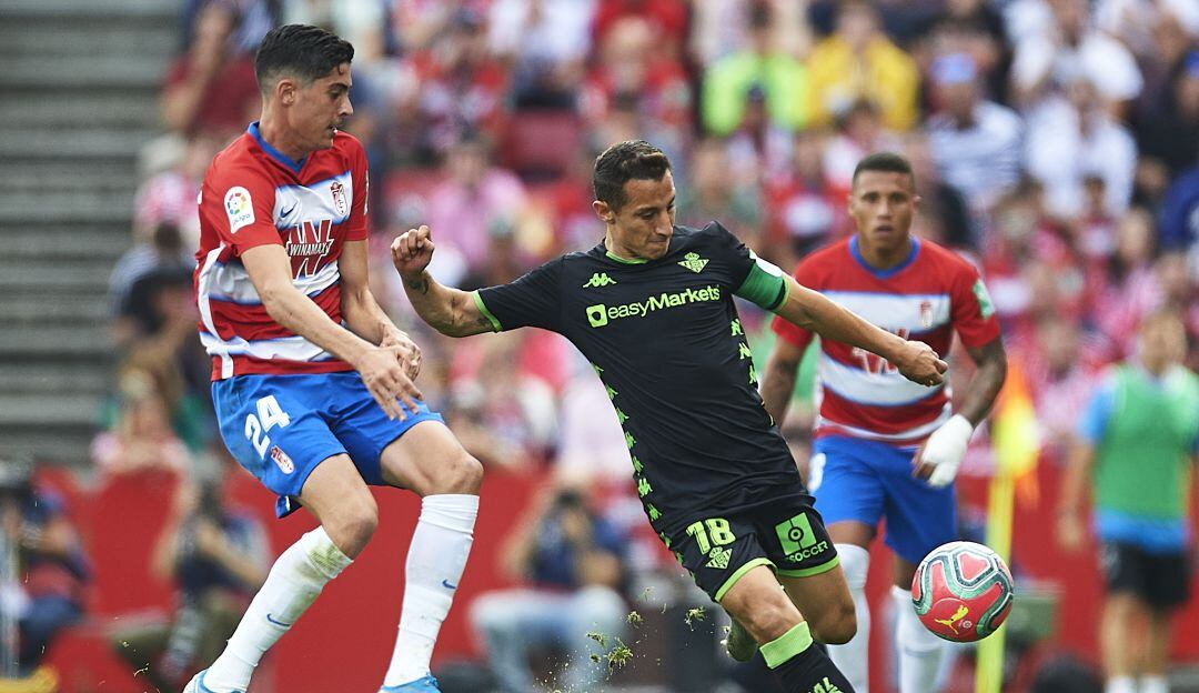 Partido entre Betis y Granada disputado el pasado 27 de octubre por LaLiga Santander.