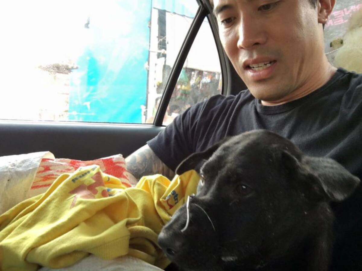 En el Festival se vende carne de perro, el cual se convirtió en una tradición en China. 