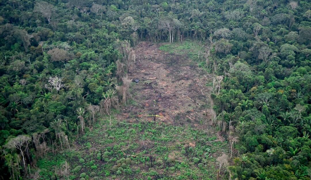 Deforestación registrada en el parque nacional natural La Macarena, en el departamento del Meta (Colombia).                           Foto: Getty 