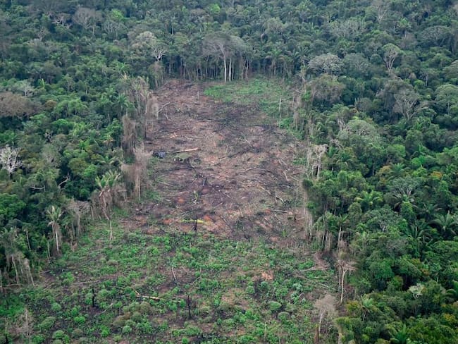 Deforestación registrada en el parque nacional natural La Macarena, en el departamento del Meta (Colombia).                           Foto: Getty 