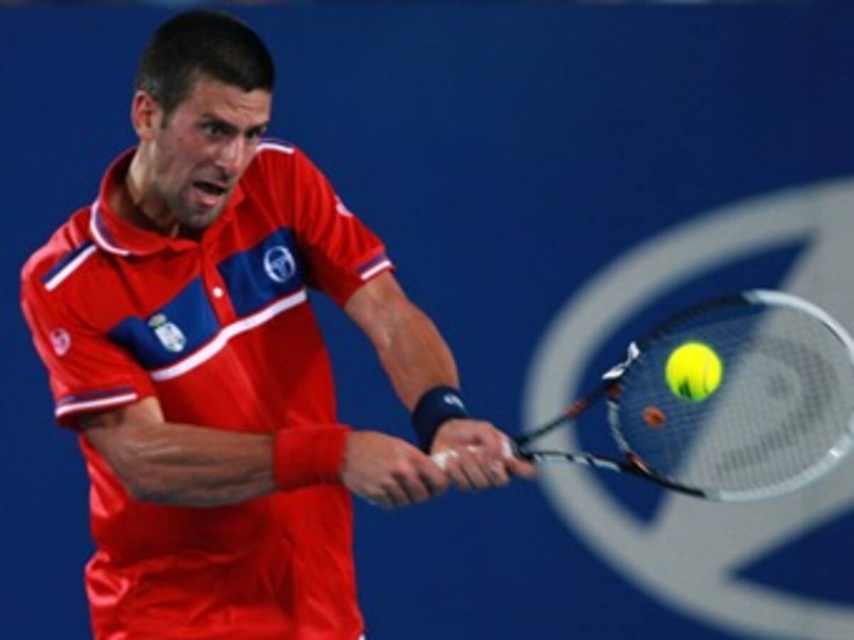 Nalbandian y Djokovic abrirán el Serbia-Argentina en semifinales de Copa Davis