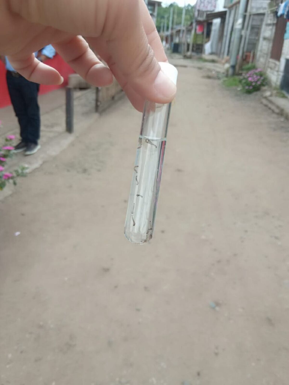 Crédito: Alcaldía de Manizales.