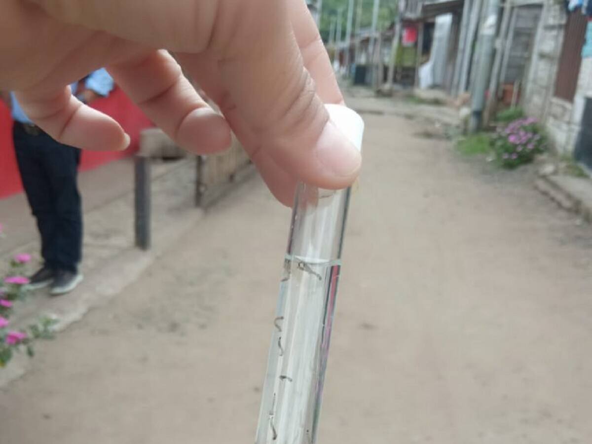 En el Kilómetro 41 de Manizales hallan en depósito de agua larvas que provocan el dengue