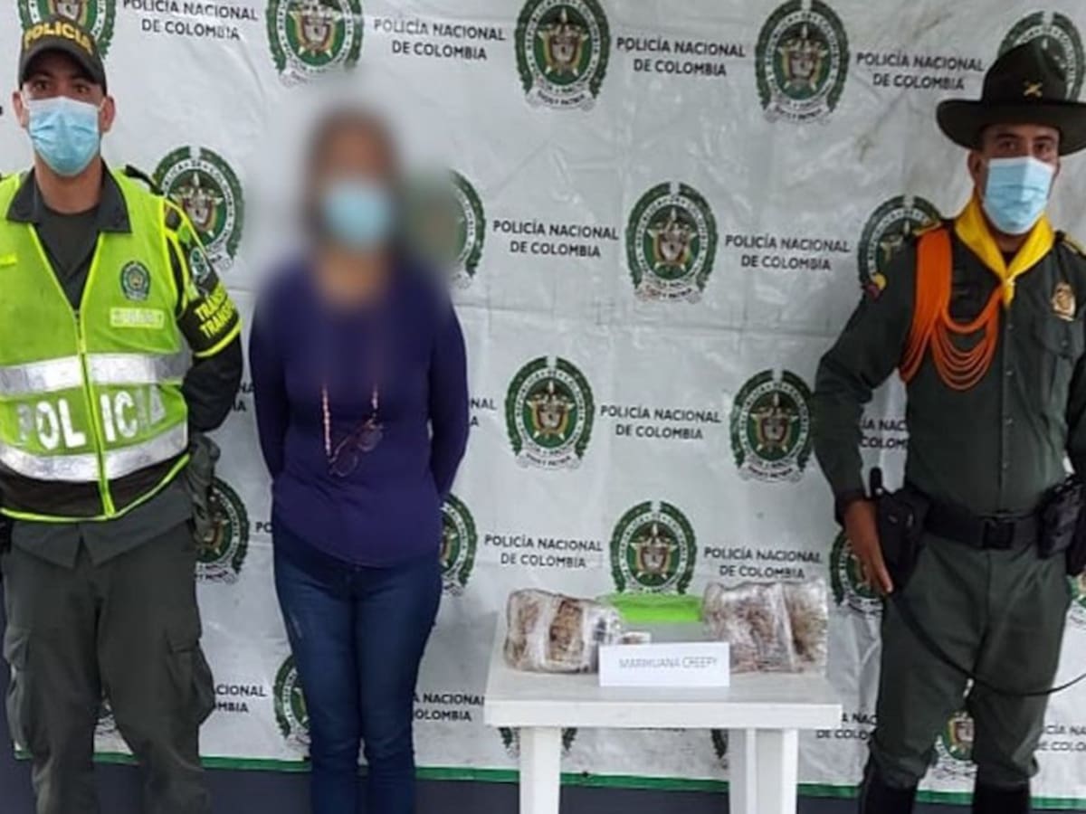 Canino de la Policía halla 1.000 gramos de marihuana en una vía de Córdoba