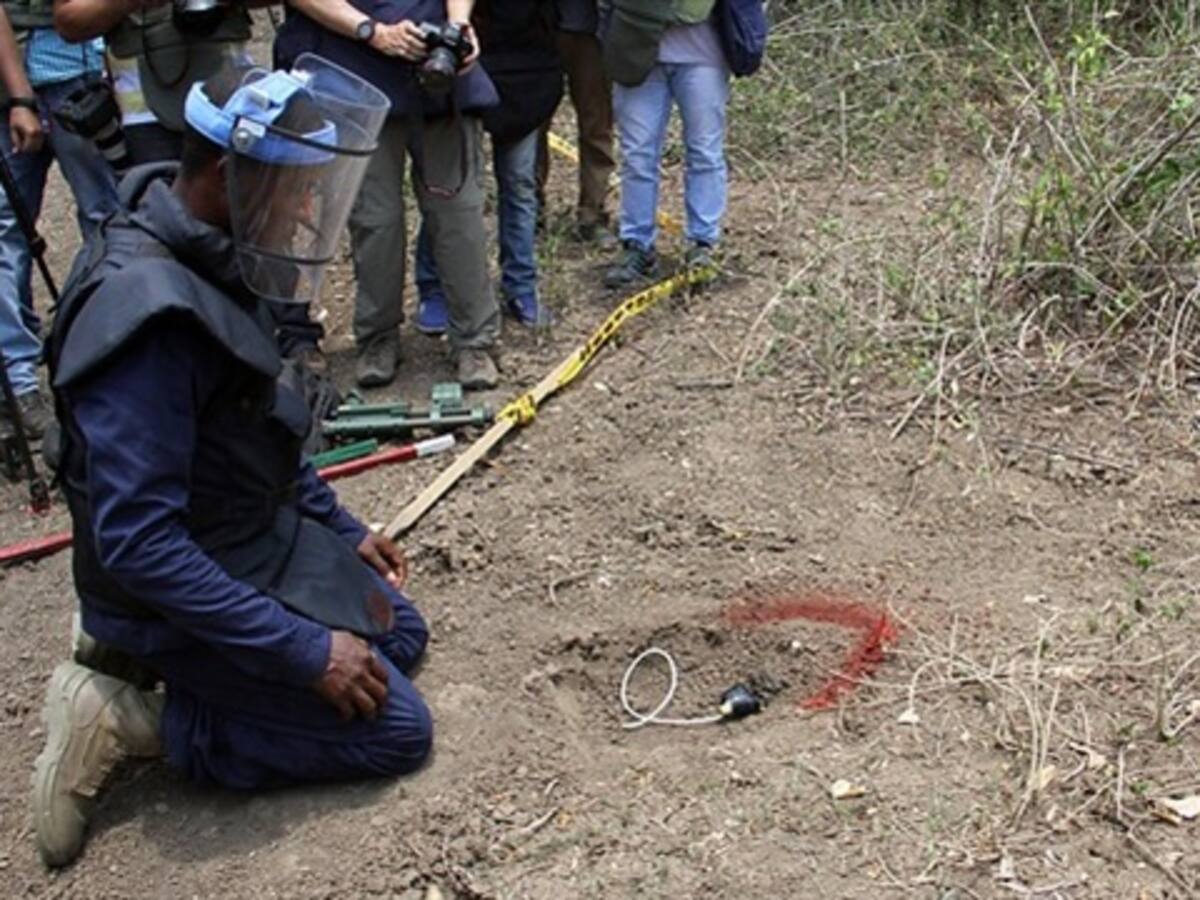 Unión Europea aportará 2,5 millones de euros para desminado en Colombia