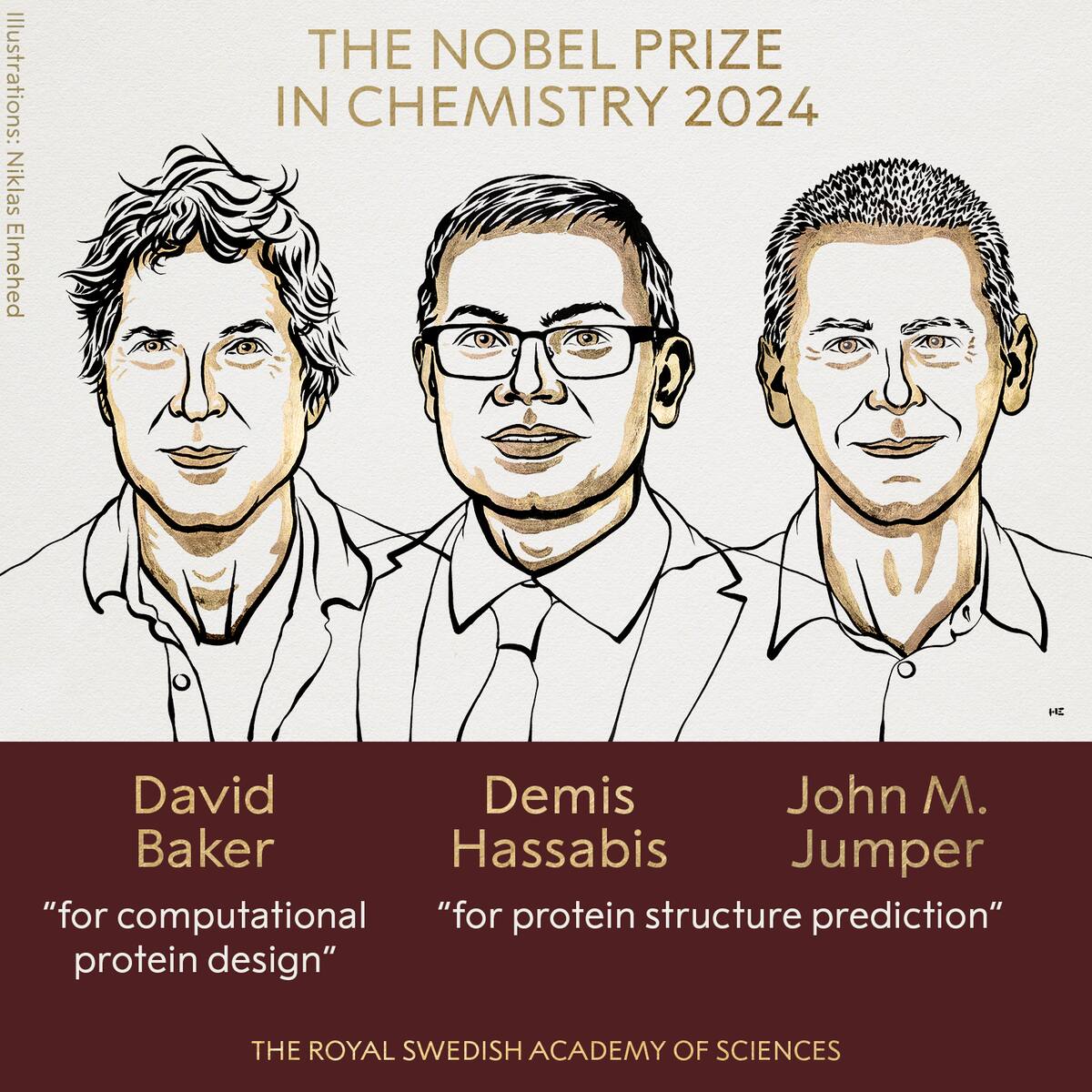 Nobel de Química para el diseño computacional de proteínas y predicción de su estructura