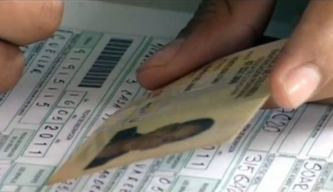 Foto: Archivo de referencia 