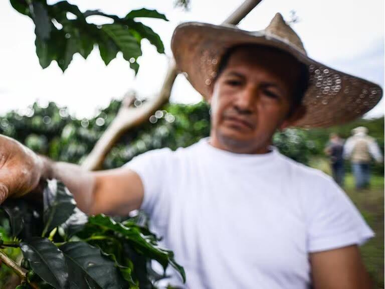 Agricultura y uso del suelo. (Imagen referencial). Foto: MinAgricultura.