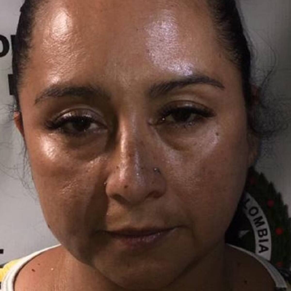 Mujer en Cali comercializaba fusiles de asalto R-15