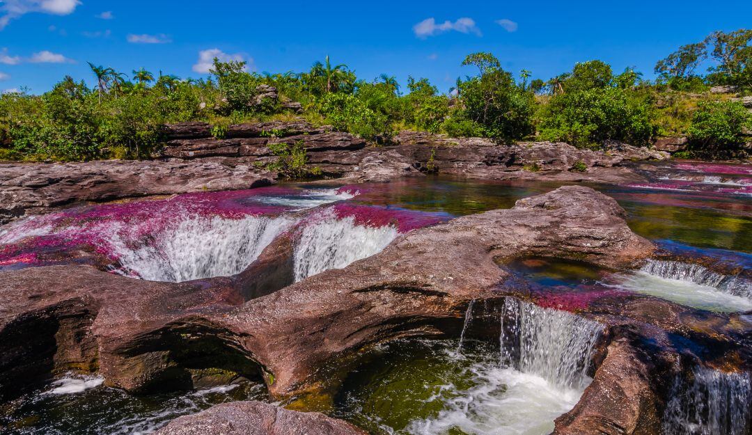 El turismo de naturaleza nos brinda la tranquilidad de pasear con todas las garantías. 