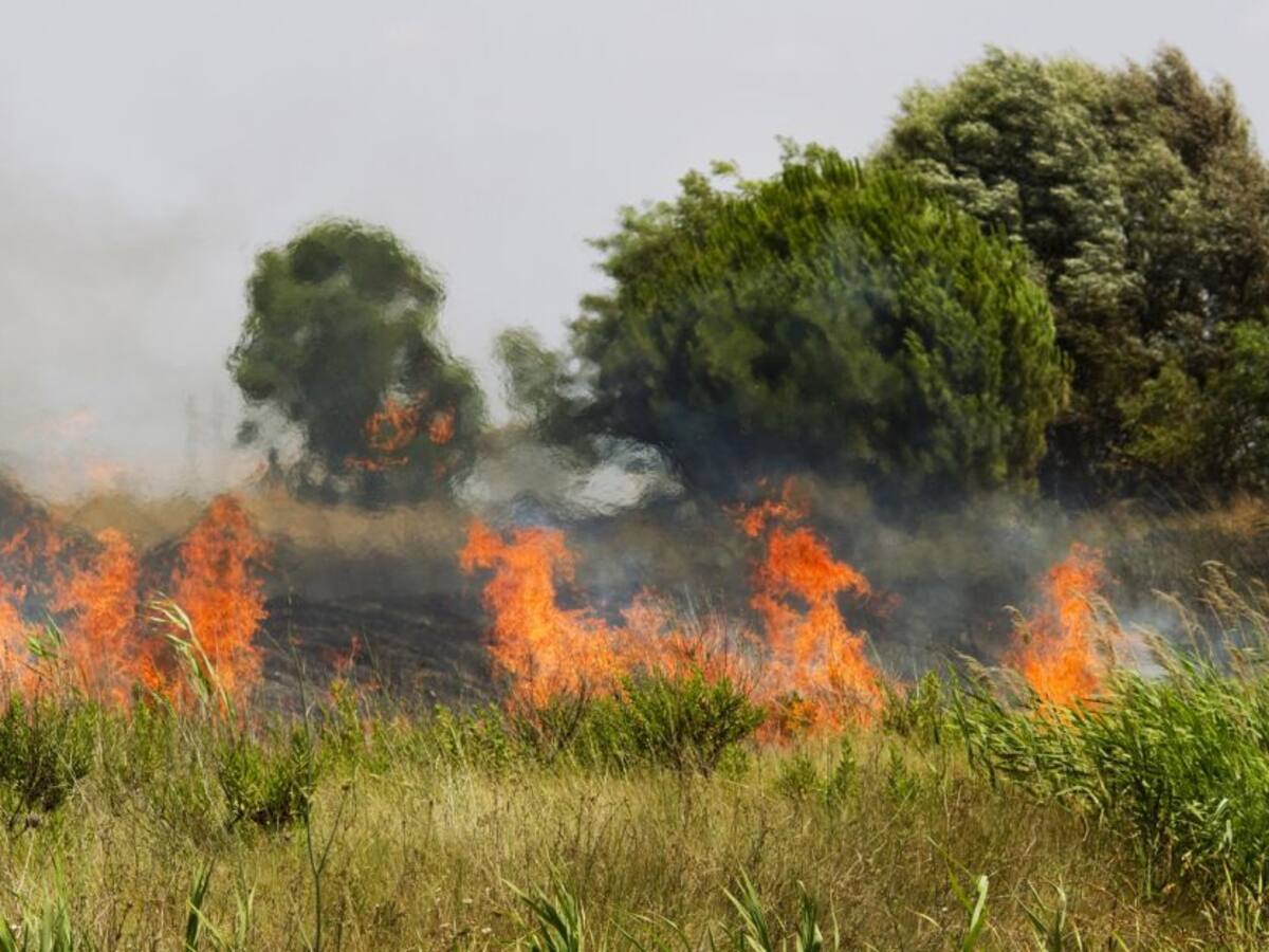 ¿Son contaminantes las quemas agrícolas?