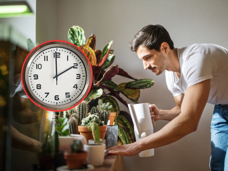 Hombre regando las plantas / Reloj de pared (Getty Images)