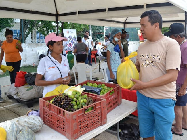 Alcaldía Mayor de Cartagena