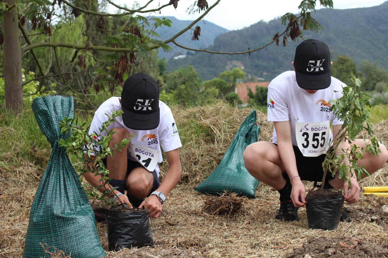 arrera ambiental 5K impulsa la siembra de 200 árboles en humedal Torca-Guaymaral
