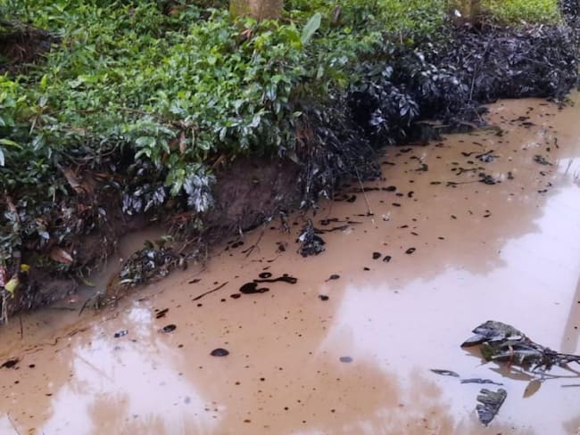Fauna, la más afectada por derrame de hidrocarburos en Barrancabermeja