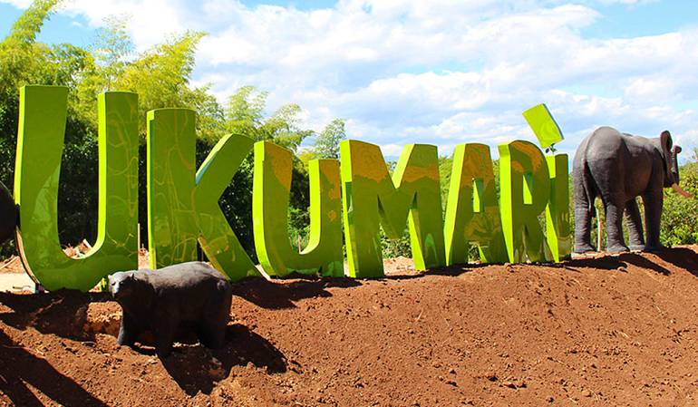 La clínica estará ubicada en terrenos aledaños.