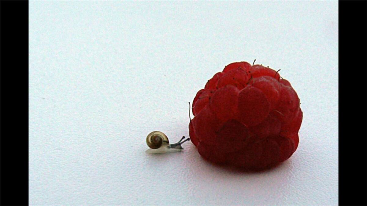 Y para el tema "Manos" elegimos esta imagen de César Pinedo. “Manos trabajando en un látigo de uso tradicional en los carnavales. Desde Guayaquil, Ecuador”.