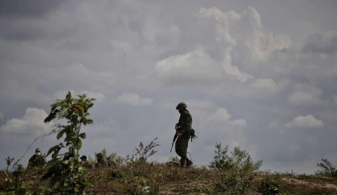 Imagen de referencia