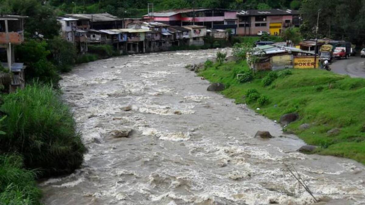 El director de la Corporación Autónoma Regional del Quindío, José Manuel Cortés