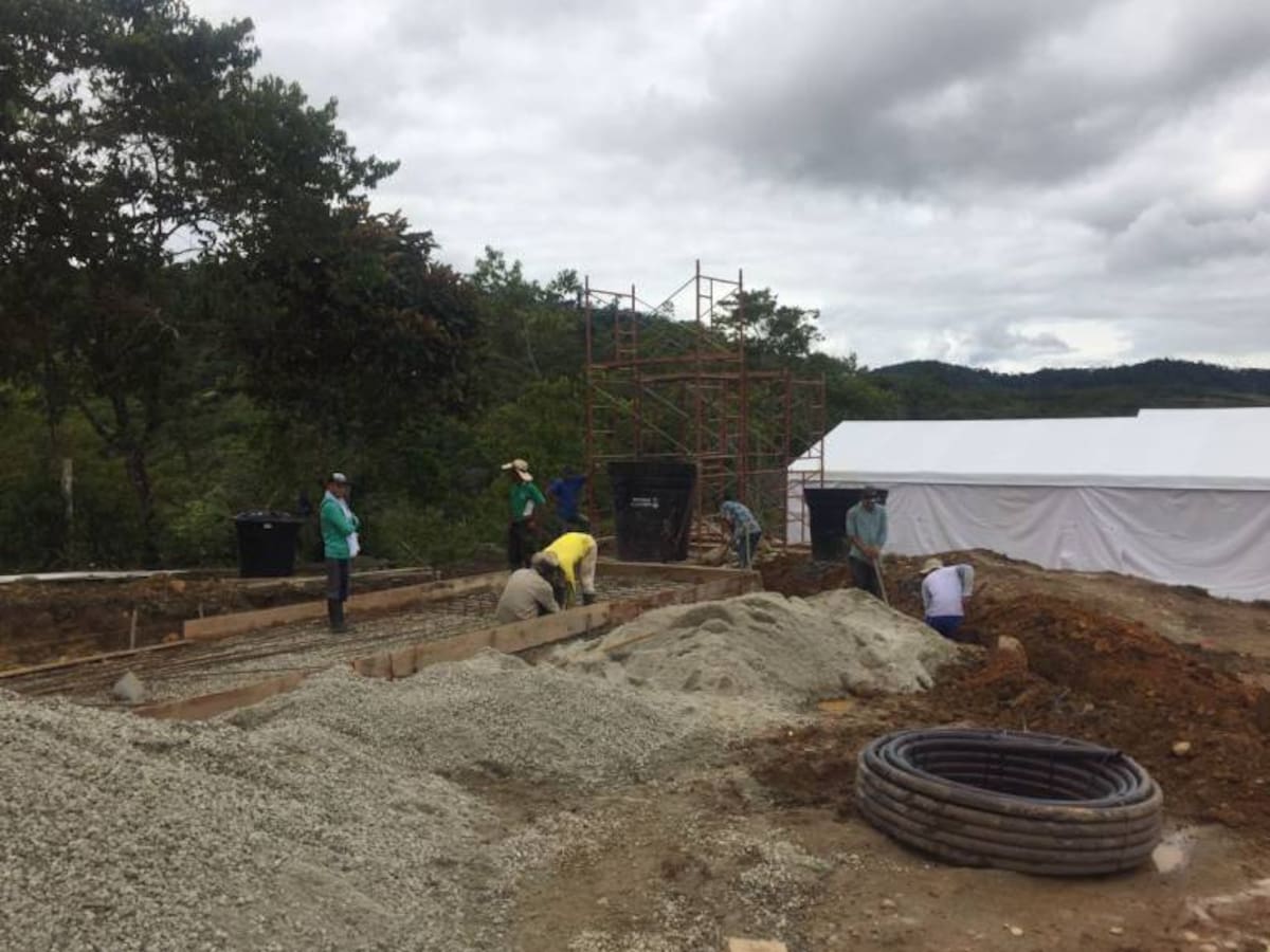 (Imágenes) Así está la vereda de concentración La Plancha en Anorí, Antioquia