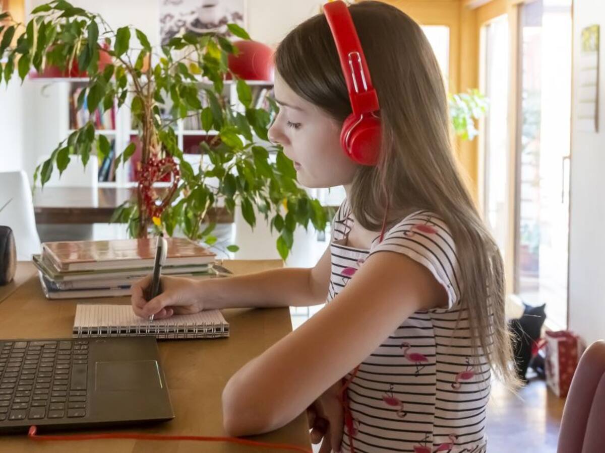 Profesor amenazó a estudiante en clase virtual por foto a favor del paro