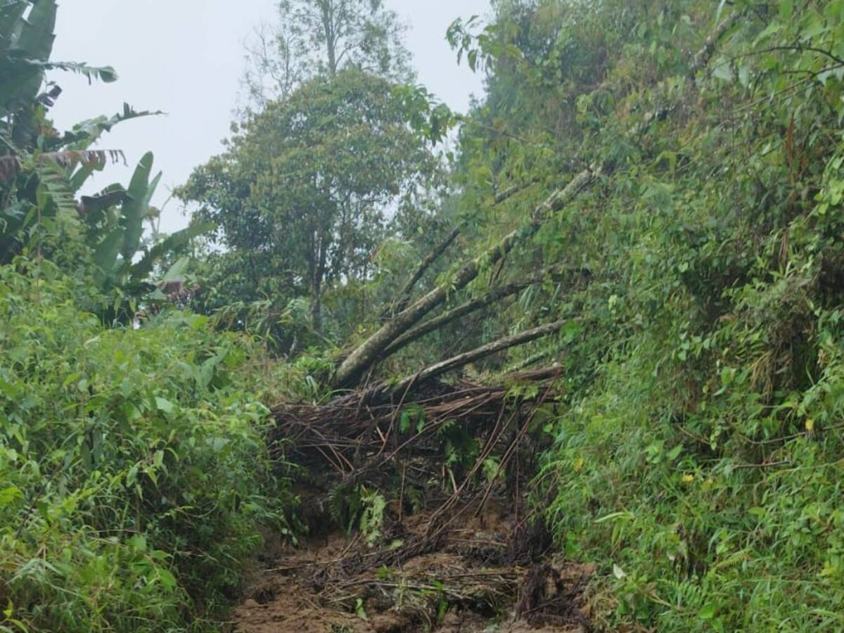¿Cuál es la situación por derrumbes en el municipio de Salento, Quindío?