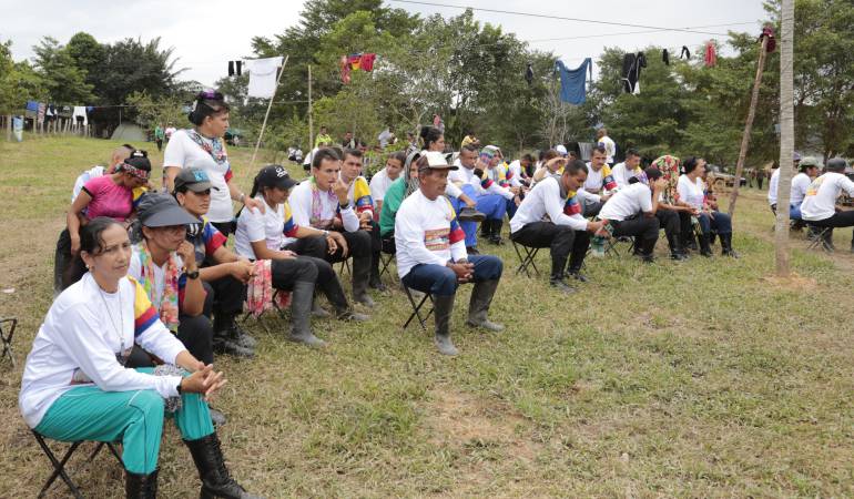 Desmovilizados del frente 33 de las farc. 