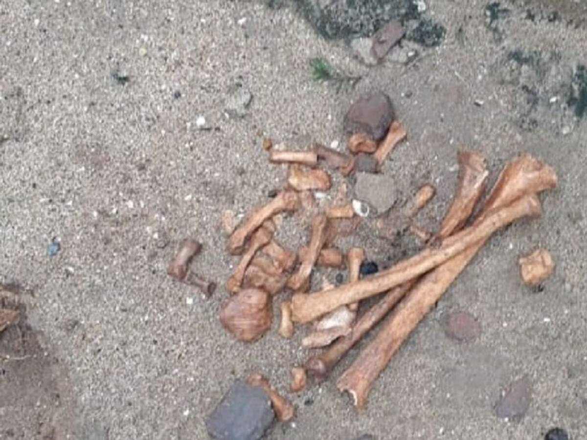 Hallan restos humanos en antejardín de un edificio en Barranquilla
