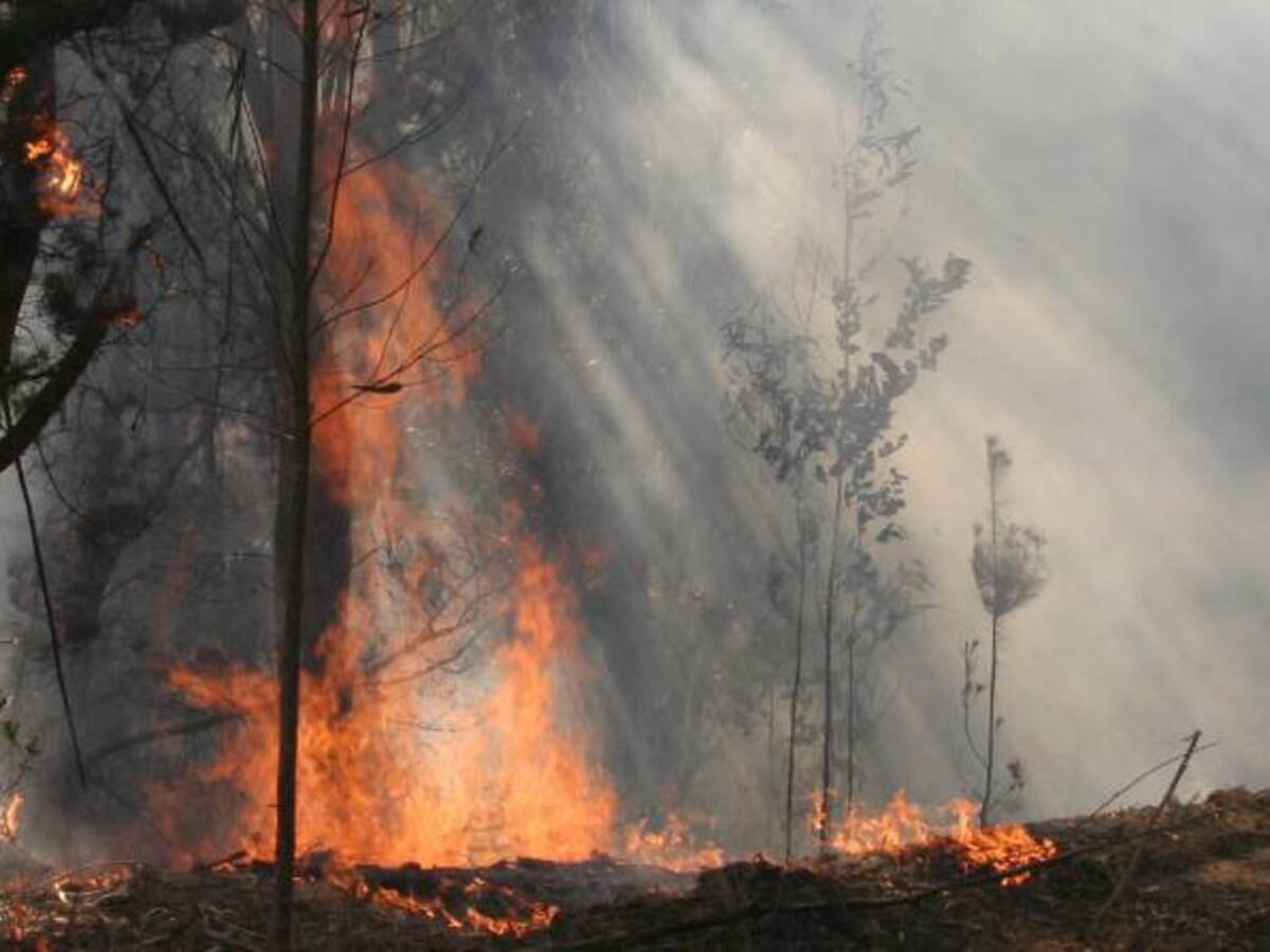Cundinamarca busca recursos para obras que mitiguen el Fenómeno de El Niño