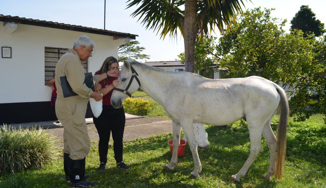 Educación superior para el sector agropecuario.