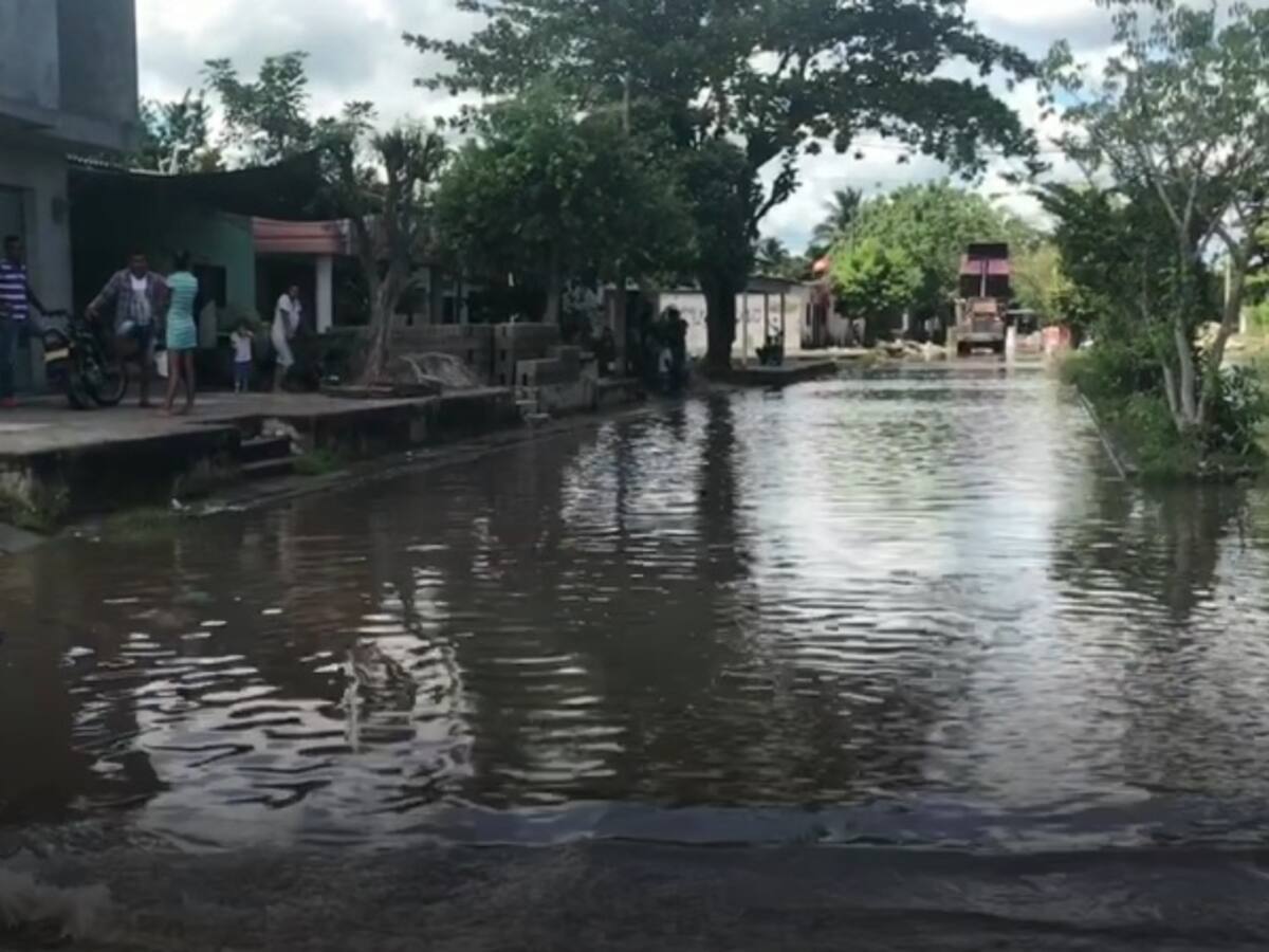 Creciente del río en Pivijay, Magdalena, dejó 35 reses muertas