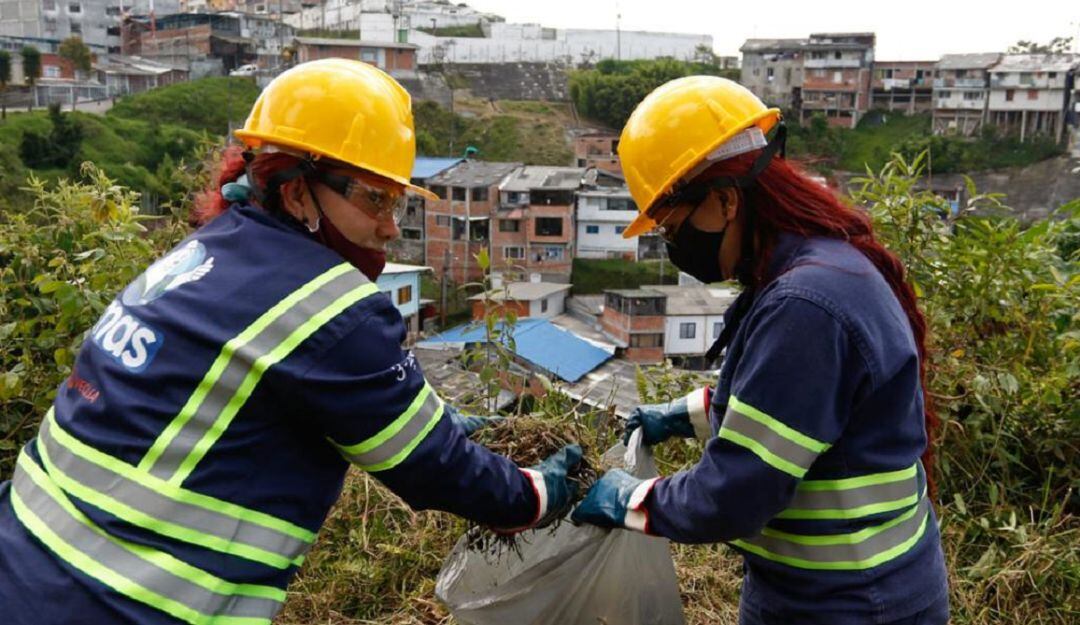Programa Guardianas de la Ladera