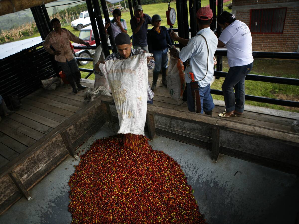 Paro nacional de cafeteros: así avanzan los bloqueos en el Quindío y otras regiones del país