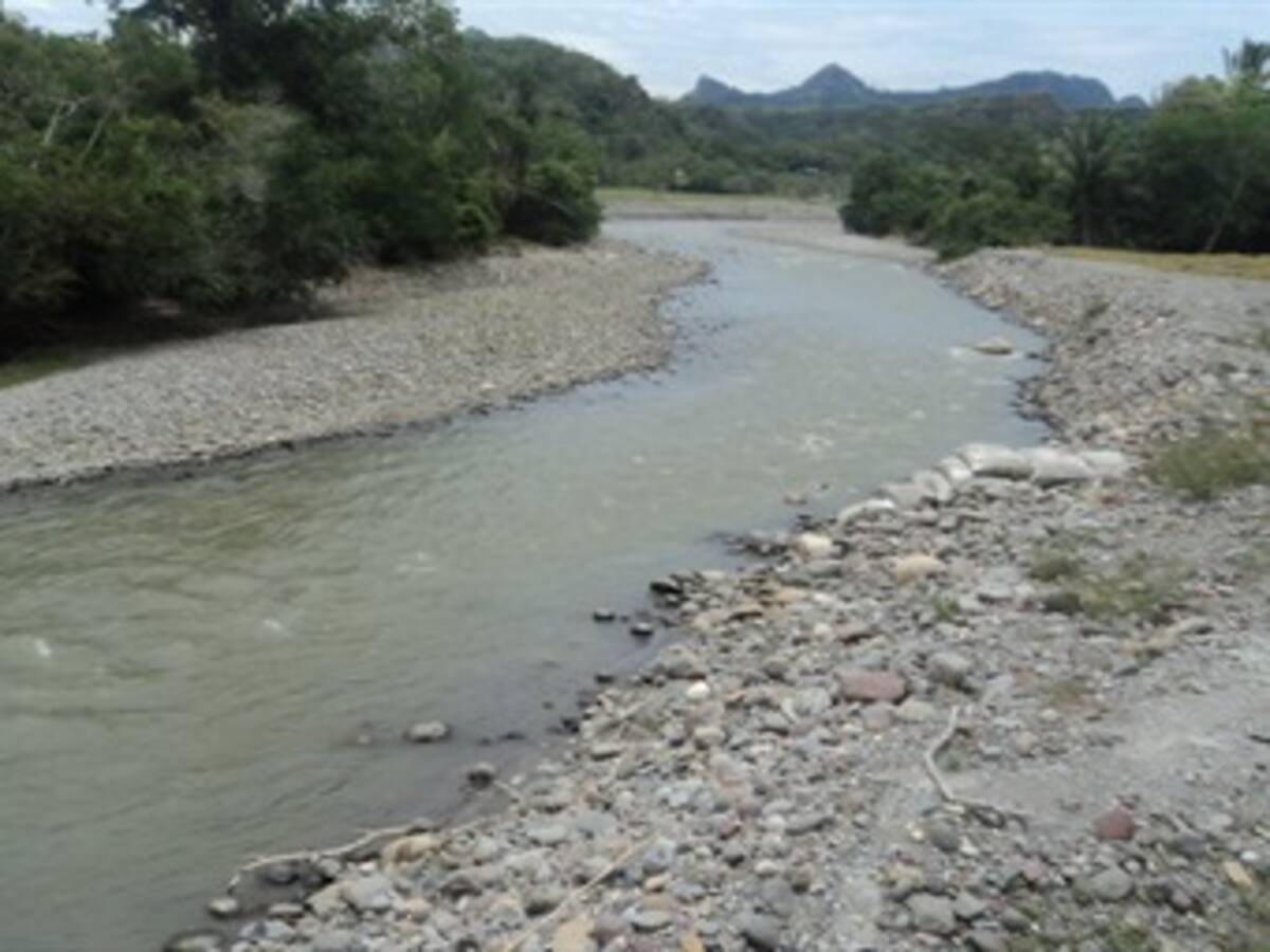 Cuenca del rio Chinchiná en problemas por contaminación