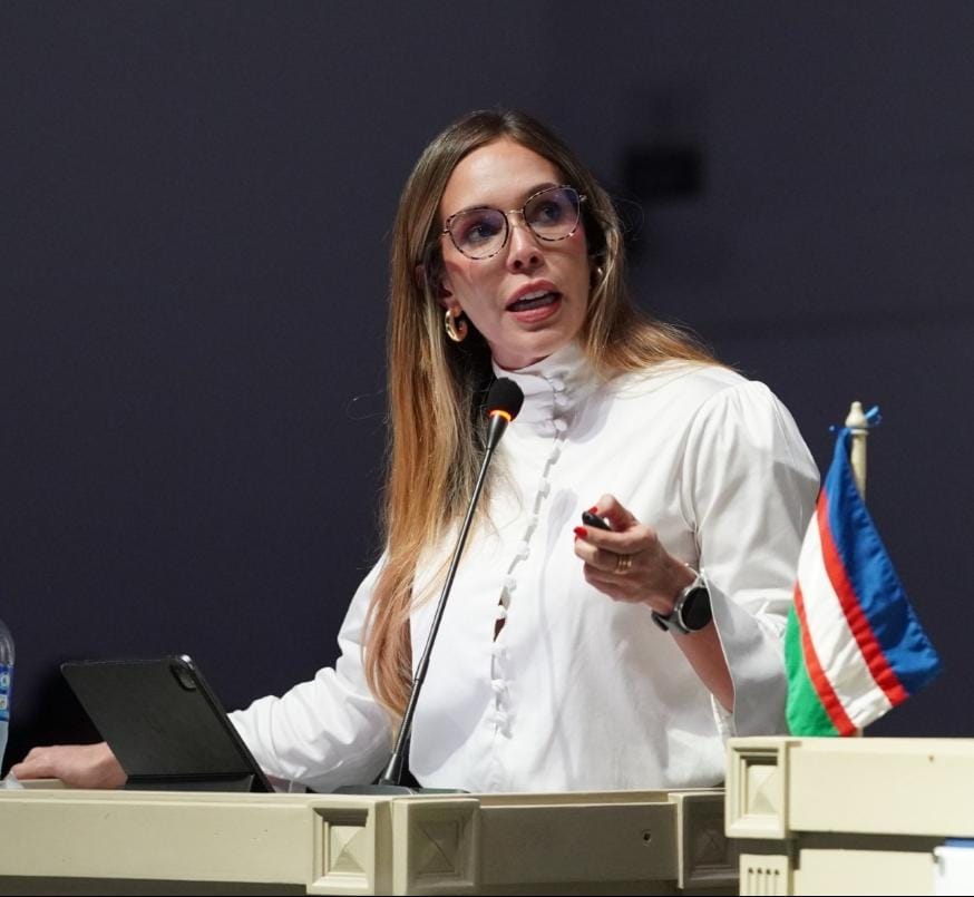 Centro de Diagnóstico Automotor del Valle en el Concejo de Cali / Foto: Concejo