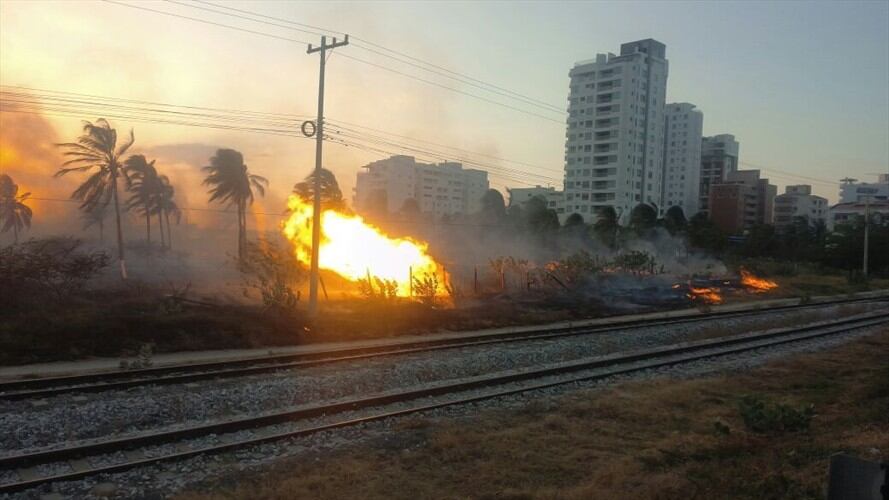 Emergencia por incendio en Pozos Colorados. Foto: Bomberos de Santa Marta