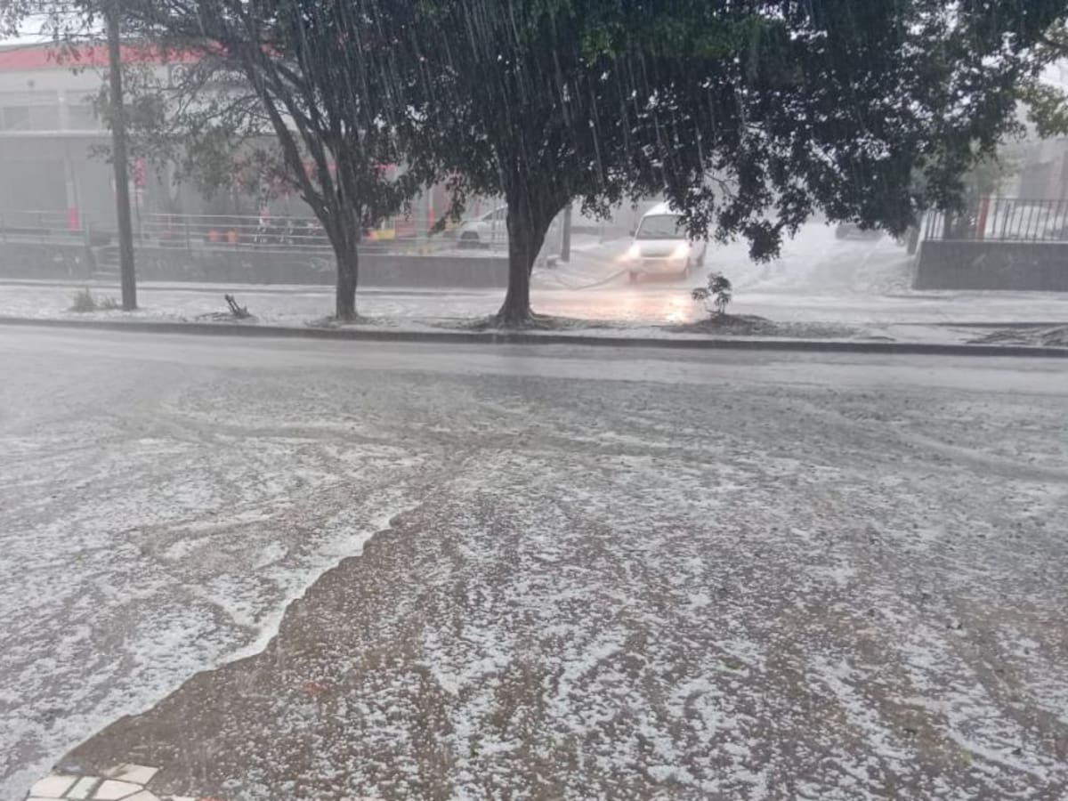 Emergencia en Popayán por lluvias: más de 25 árboles caídos e inundaciones