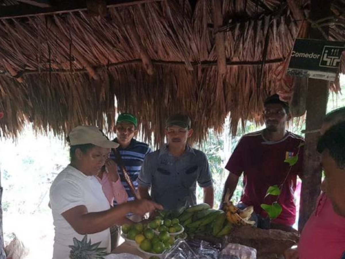 Productos de la Paz, un programa de Pnud para campesinos Colombianos