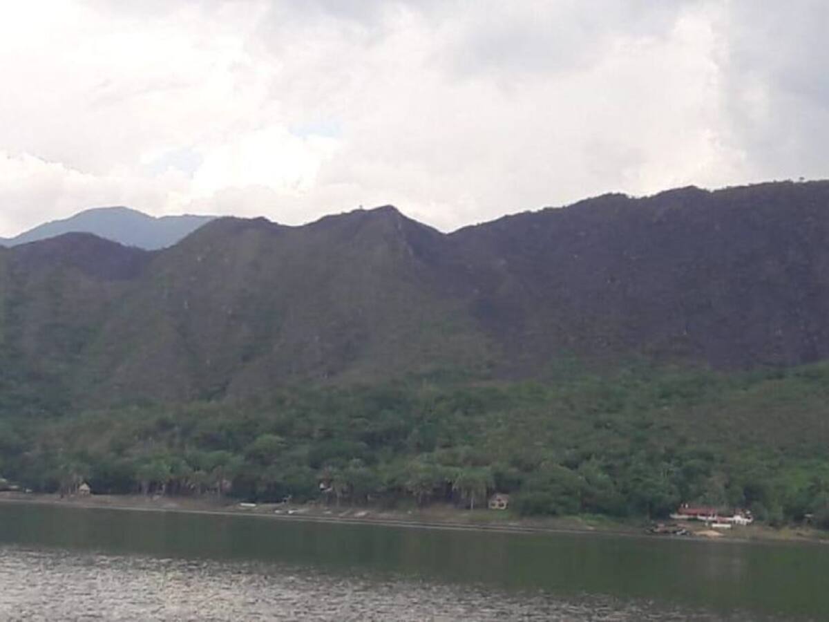 Controlan incendio forestal en Tolima