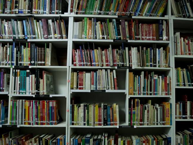 ¿Qué leer durante el aislamiento?