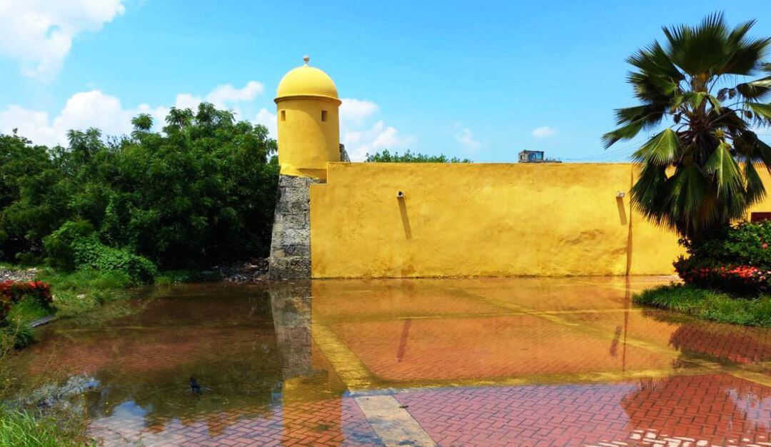 Denuncian mal estado de manglares en Getsemaní y Puerto Duro