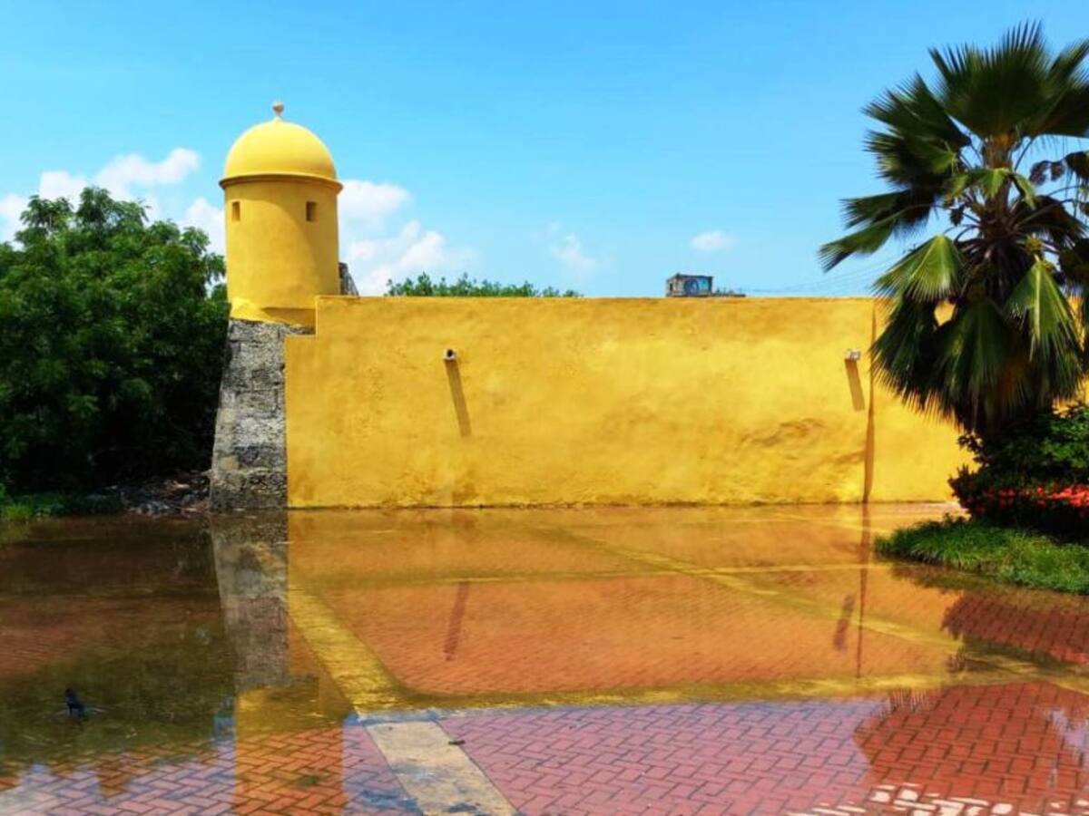 Denuncian mal estado de manglares en Getsemaní y Puerto Duro