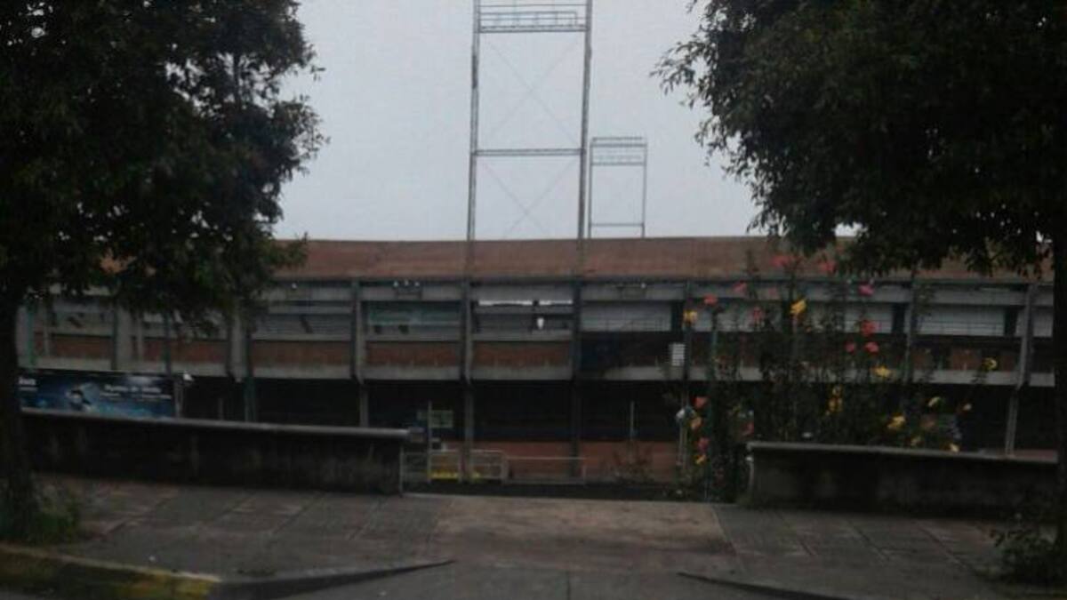 Manizales no es la única ciudad del mundo con obras de arte en las cebras