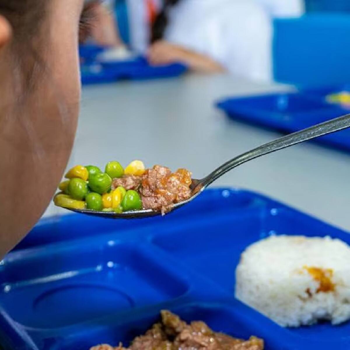Gobierno ajusta los lineamientos del Plan de Alimentación Escolar: ¿Cuáles son los cambios?