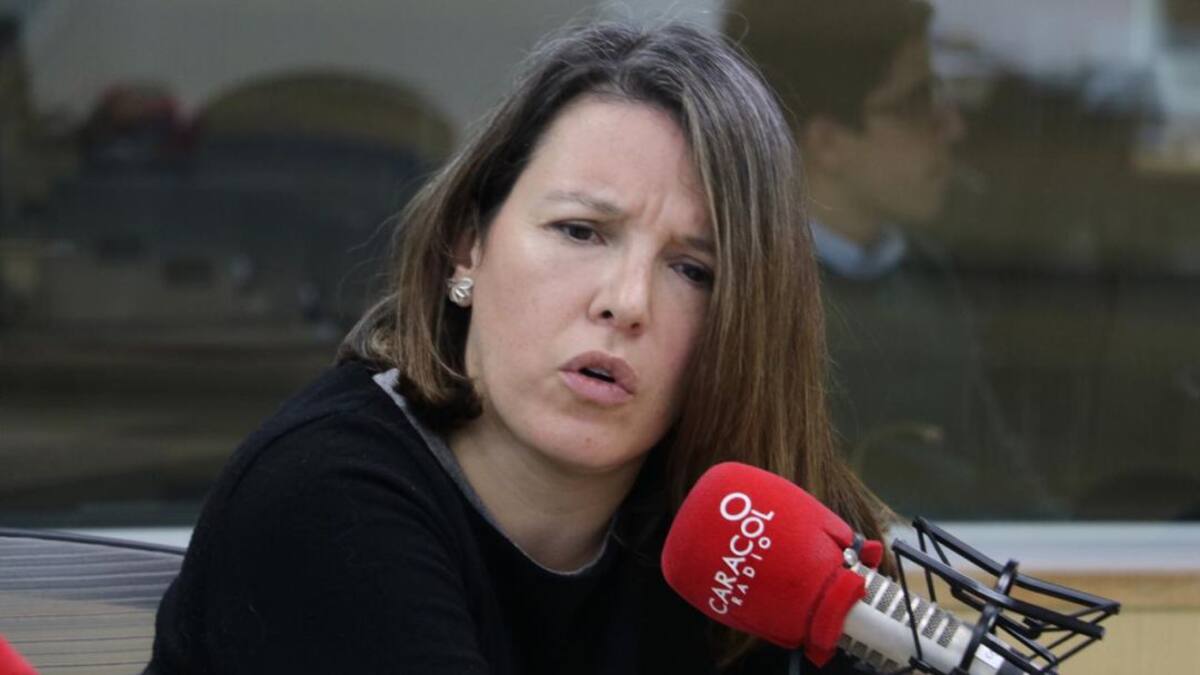 Debe darse una discusión flexible sobre el uso de tecnologías tipo: Sandra