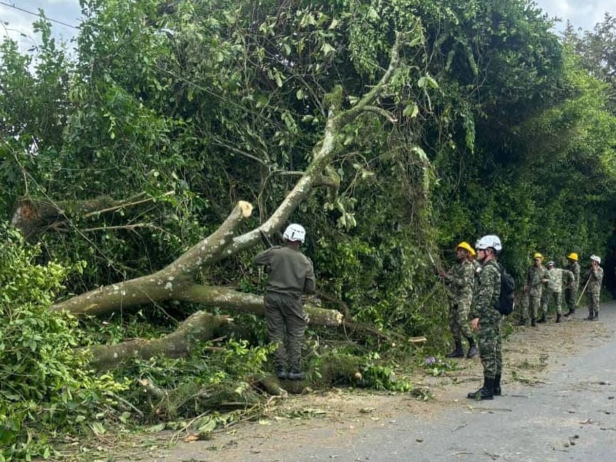 Caída de árboles y derrumbes principales afectaciones en vías del Quindío por lluvias