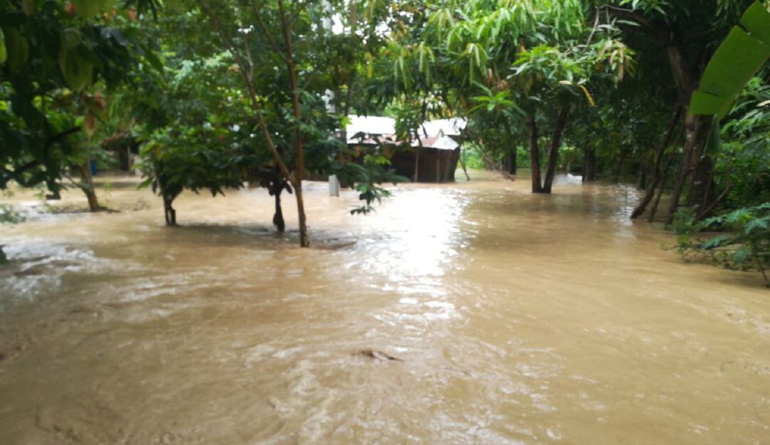 Defensoria del pueblo 